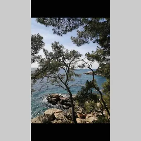 Apartment Petite Studette Centre Ville Toute Equipee Hyeres